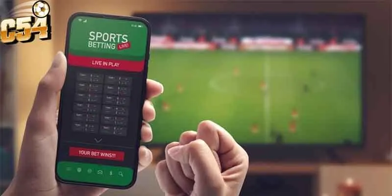 Luật quy định tại sảnh bóng đá CMD368