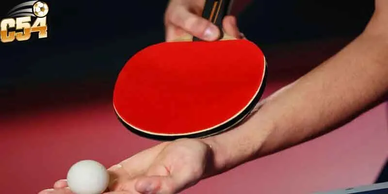 Theo dõi phong độ cầu thủ bạn chọn