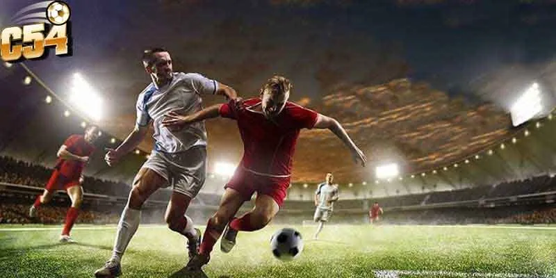 Kinh nghiệm đặt cược tại sảnh CMD368 uy tín