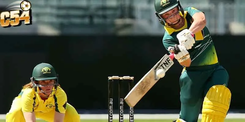 Kèo tài xỉu trong cá cược bóng gậy 