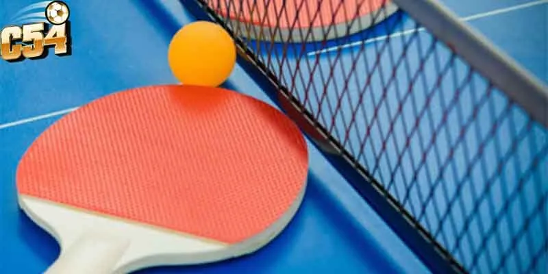 Kinh nghiệm chơi cá cược bóng bàn từ các cao thủ